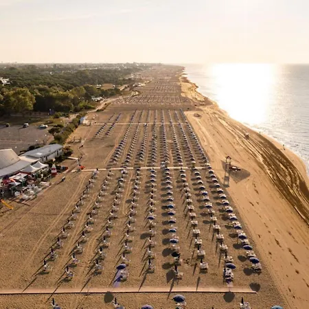 Bright Close To The Sea *