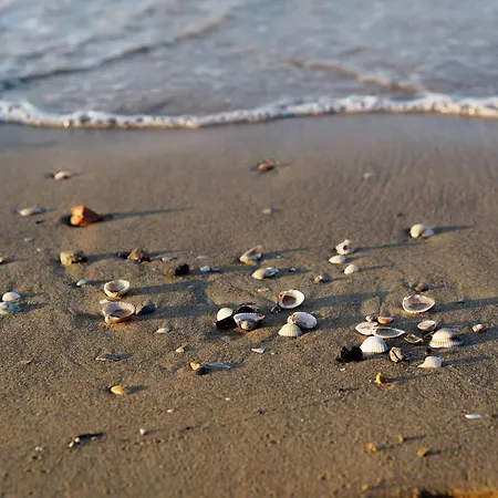 Bright Close To The Sea * Bibione
